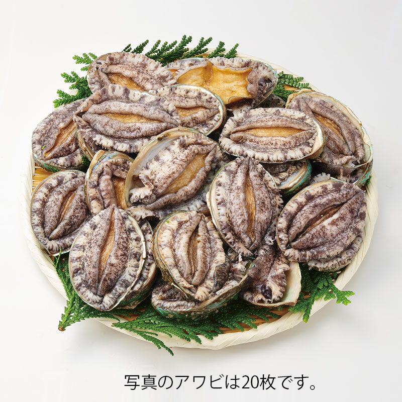 株式会社ヤマト（活魚卸売）