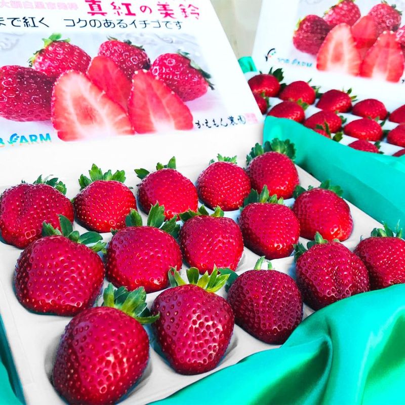 大網白里市発祥のイチゴ「真紅の美鈴」詰合せ