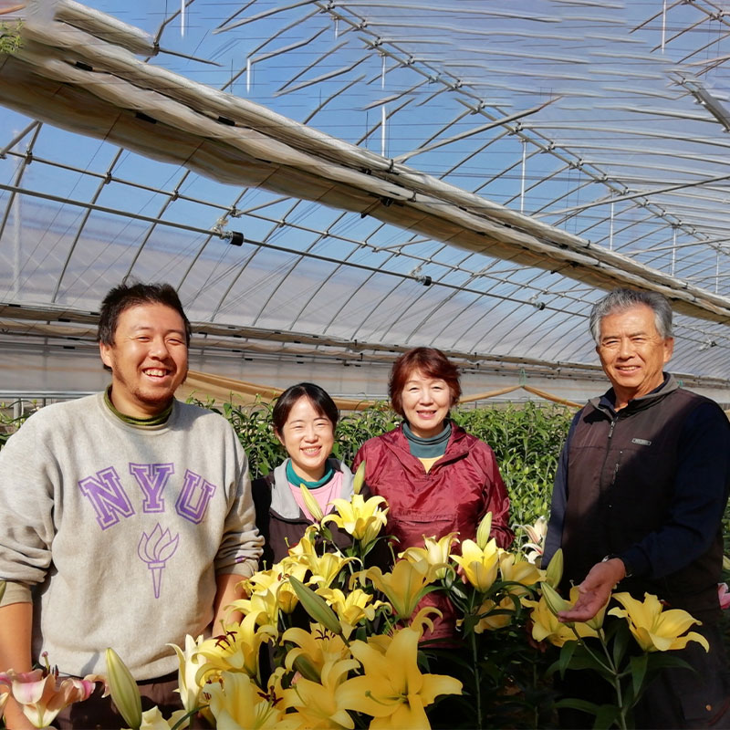 山崎農園のカサブランカ ギフト用 おまかせカラー ありがとねっと 千葉県特産物ネットショップ