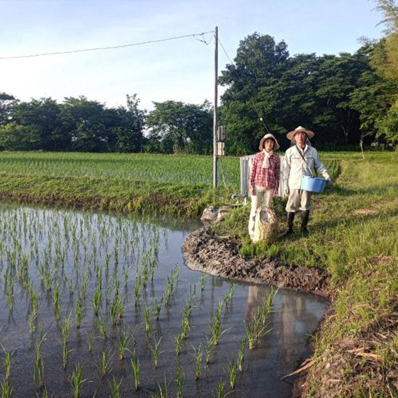 山田順子