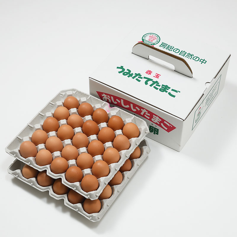 おいしいたまご永光卵 50個