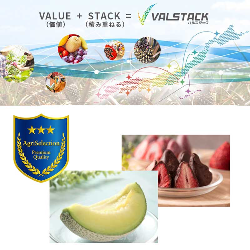 バルスタック株式会社