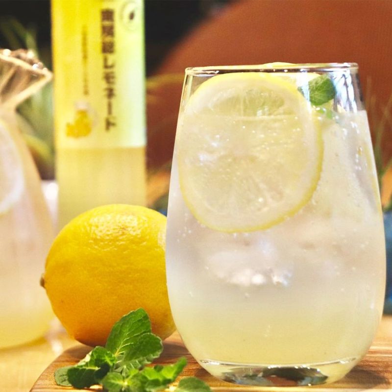 南房総レモネード GIFT3本セット｜ありがとねっと｜千葉県特産物ネット