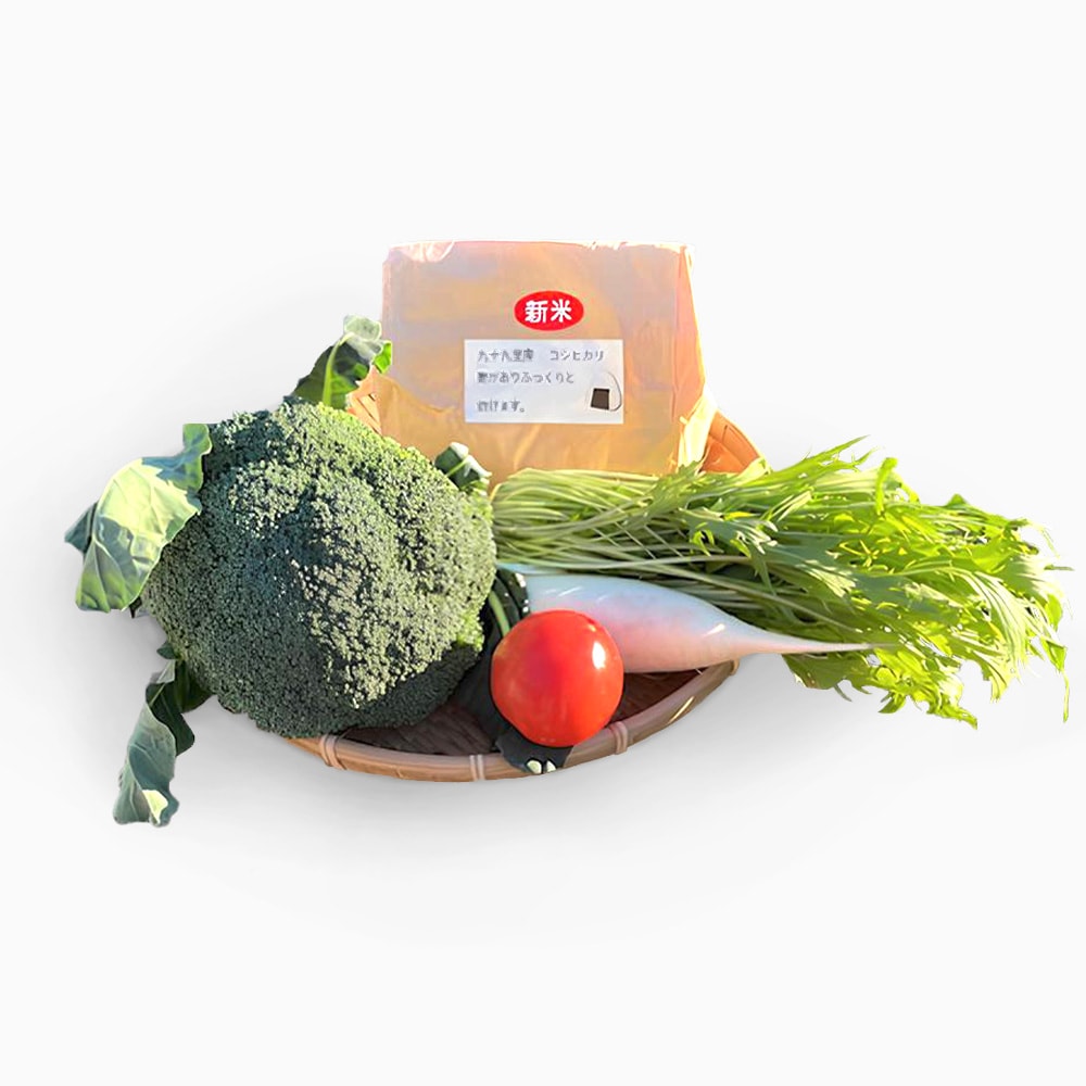 九十九里産お米とお野菜セット｜ありがとねっと｜千葉県特産物ネット