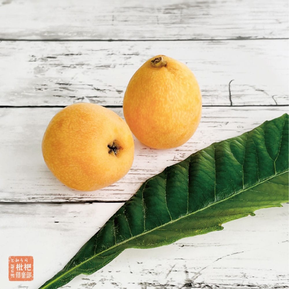 枇杷倶楽部】極びわゼリー 6個 ギフトセット｜ありがとねっと