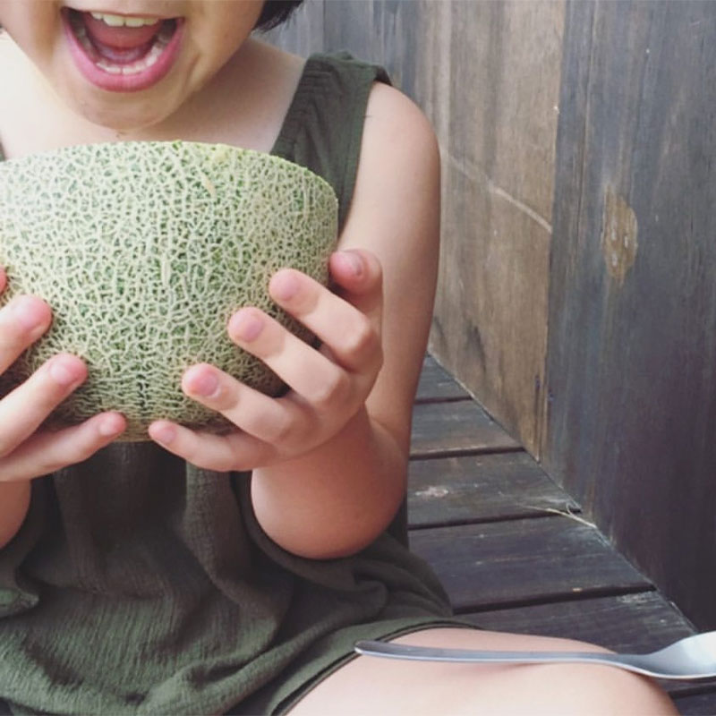 ③５２５０円～BIG大玉・甘甘のタカミメロン・3〜４玉入り ③5250円～BIG大玉・甘甘のタカミメロン・3〜4玉入り