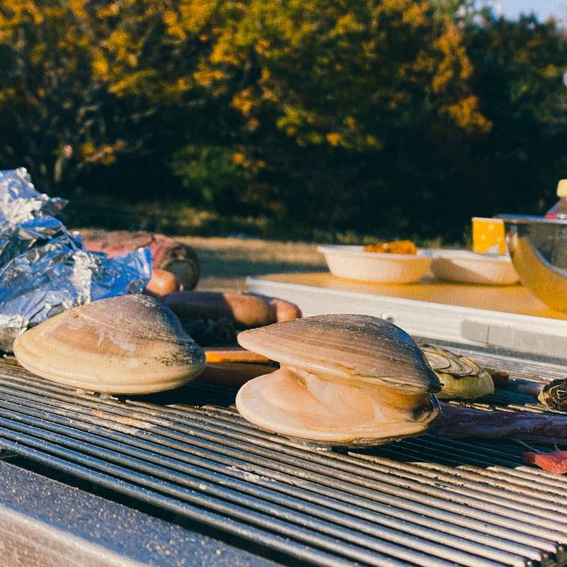 九十九里 地はまぐり 1kg｜ありがとねっと｜千葉県特産物ネットショップ