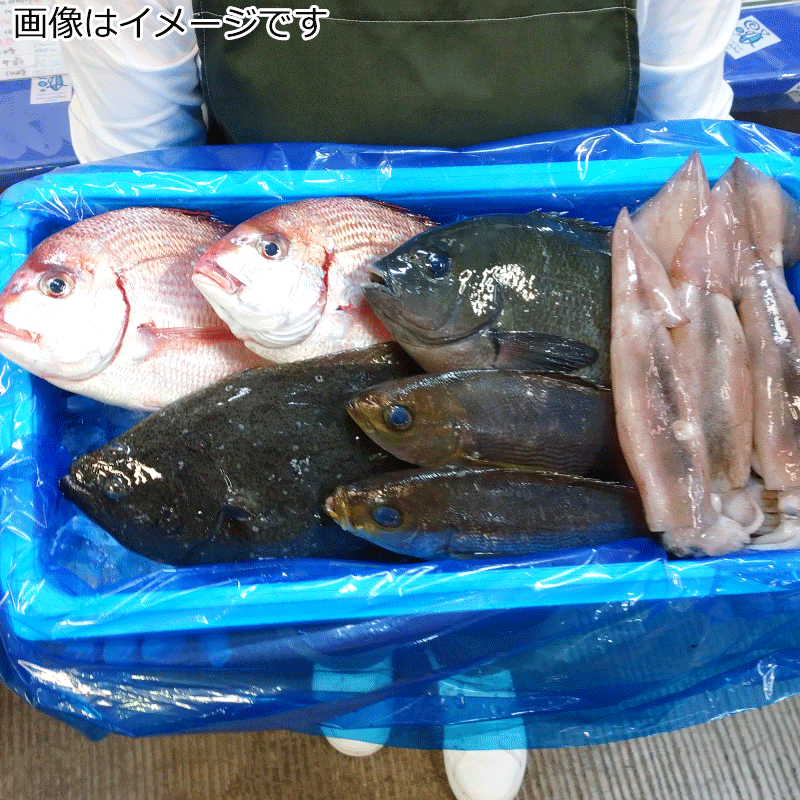 農林漁業中央金庫史　4巻セット　沖縄 ミニ四曲金屏風 [M便 1/3] [K]の通販 | SWANY Online Shop