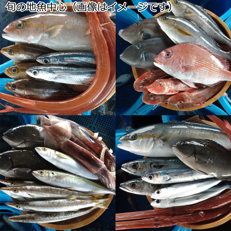 農林漁業中央金庫史 4巻セット 沖縄 【公式通販】