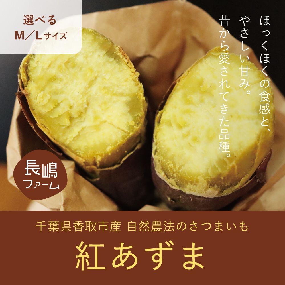 予約販売】さつまいも 紅あずま 5kg（Mサイズ）｜ありがとねっと