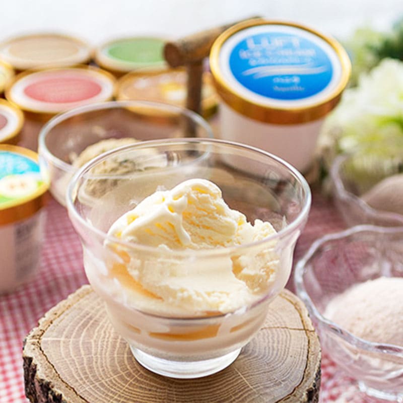 メガハウスおうちでアイス お洒落アイスセット メガハウス おうちで