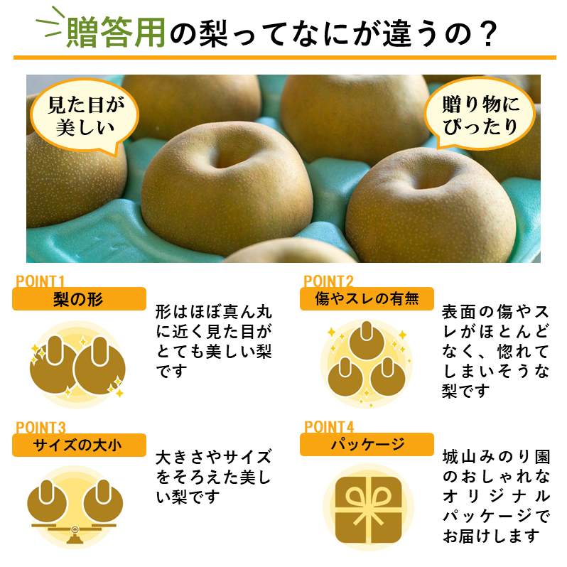 果物 シリカフルーツゼリー80g ｜バズノベルティ