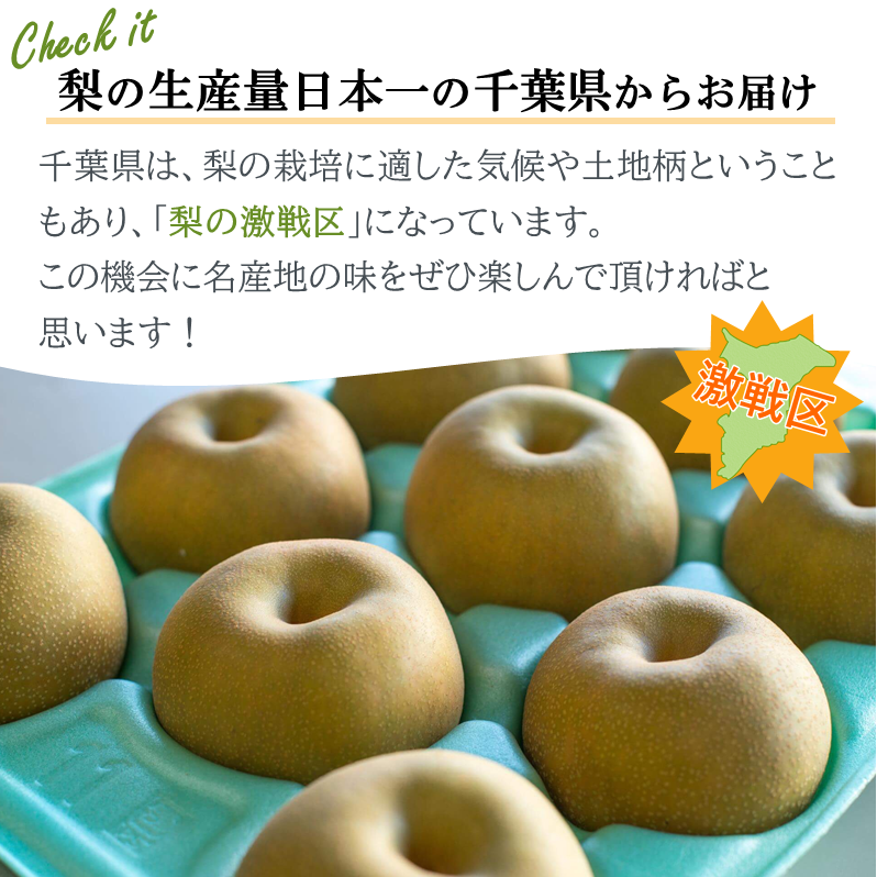 果物 シリカフルーツゼリー80g ｜バズノベルティ