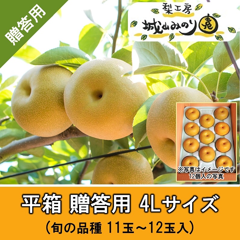 果物 2024年分販売終了】【元パティシエがつくるこだわりの完熟梨 平