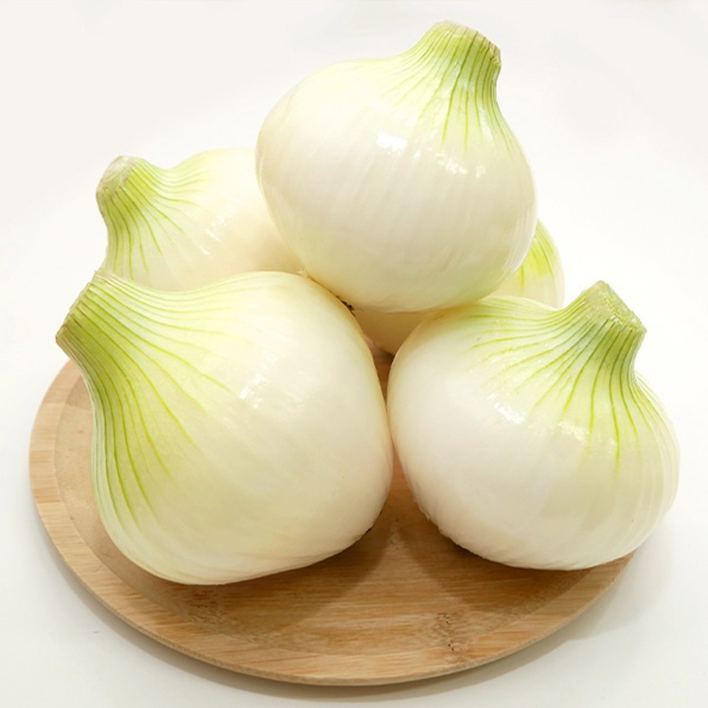 2025年分販売終了】旬の味！ 鮮度バツグンの新玉ねぎ（1.5kg