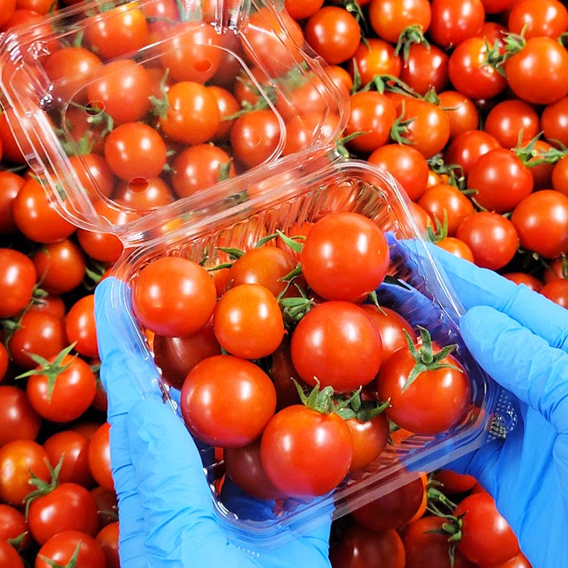 お日様えくぼ（24パック入り）自宅用【期間限定】｜ありがとねっと