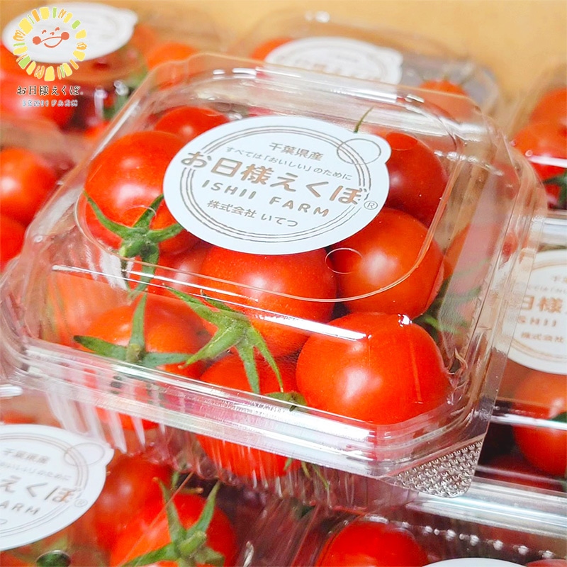 お日様えくぼ（24パック入り）自宅用【期間限定】｜ありがとねっと