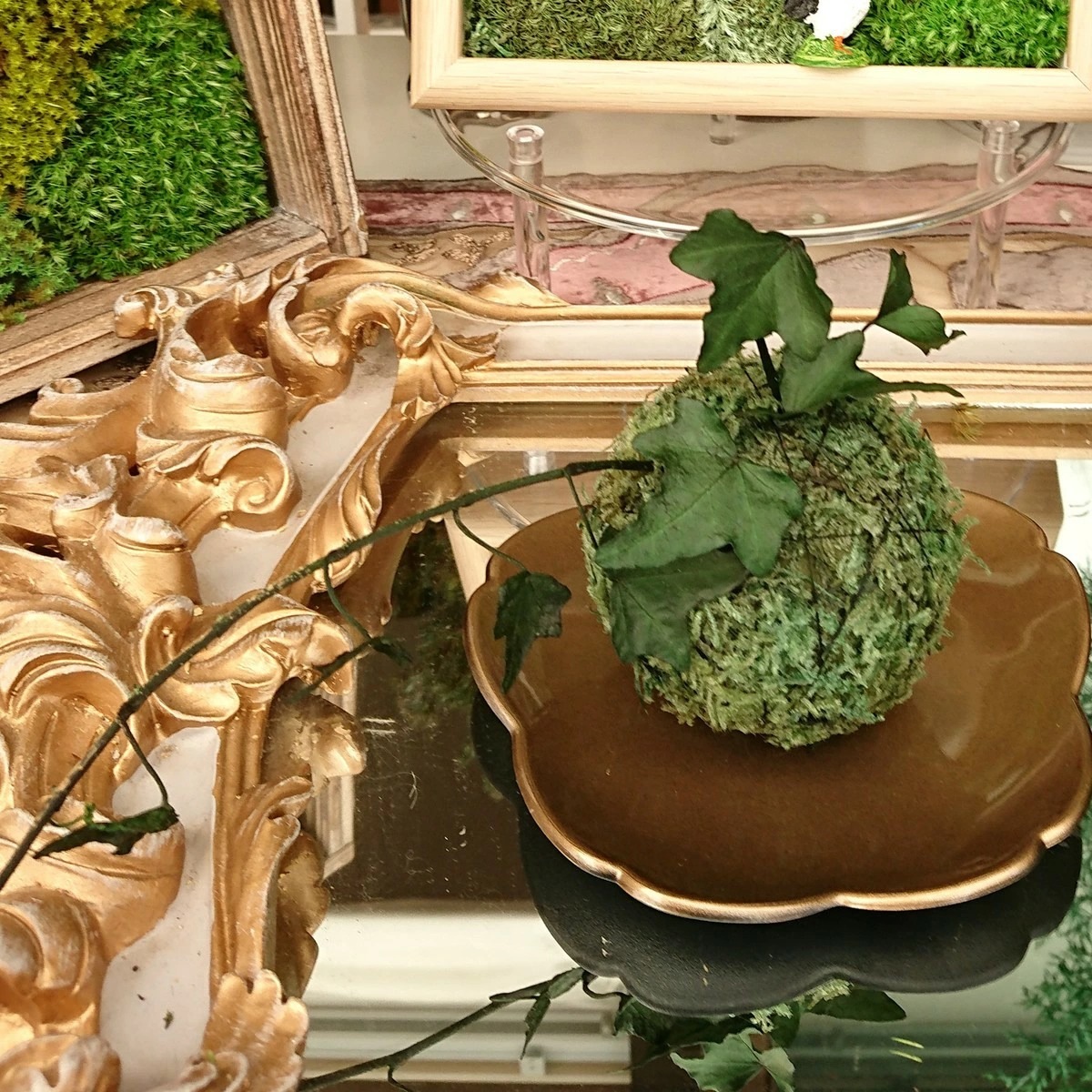 苔玉プリザ ありがとねっと 千葉県特産物ネットショップ