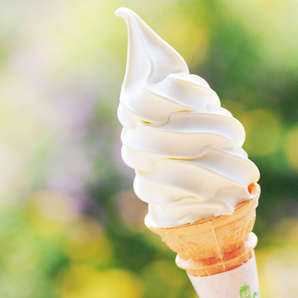 びわソフトクリーム8個セット｜ありがとねっと｜千葉県特産物ネット