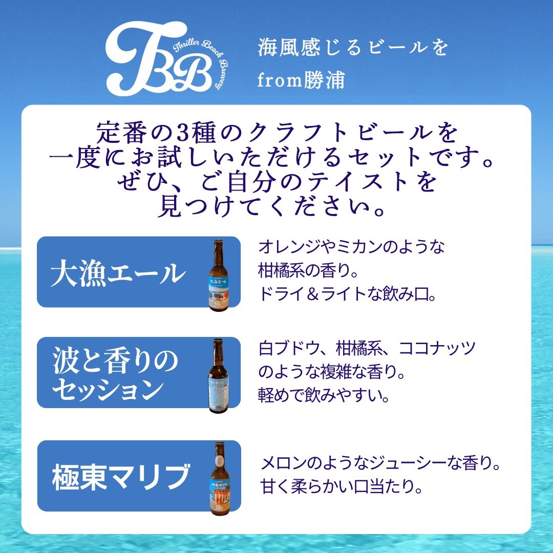 醸造長がセレクトするクラフトビール 6本セット｜ありがとねっと｜千葉