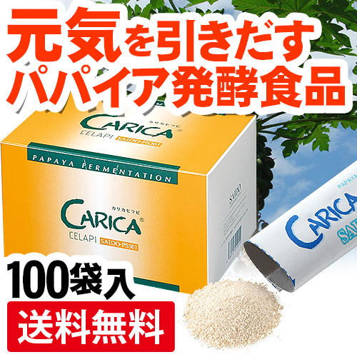 ���ꥫ�����SAIDO-PS501��(3g��100��)