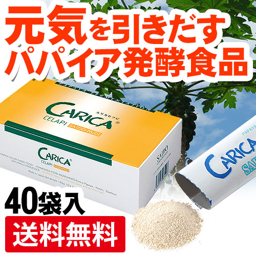 ���ꥫ�����SAIDO-PS501��(3g��40��)