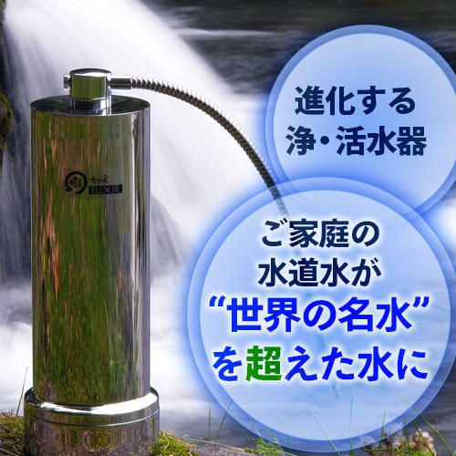 ���ꥯ����II(�����졼�����������)