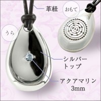 ����Υ����� �㥷��С����������ޥ�󡦳פҤ��