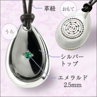 ����Υ����� �㥷��С���������ɡ��פҤ��