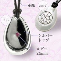 ����Υ����� �㥷��С�����ӡ����פҤ��