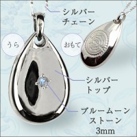 ����Υ����� �㥷��С����֥롼�ࡼ�󥹥ȡ��󡦥���С����������