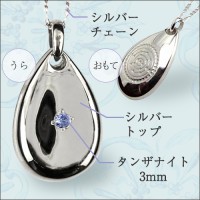 ����Υ����� �㥷��С������󥶥ʥ��ȡ�����С����������