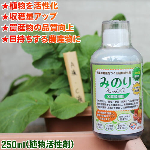石のしずく みのり 250ml 家庭菜園用 トータルヘルスデザイン公式ショップweb本店