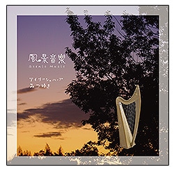 ���ʲ���