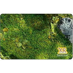 KR�����ɡ���Ĺ��ȯŸ����