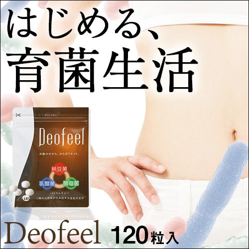 �ǥ��ե����롡(250mg��120γ��)