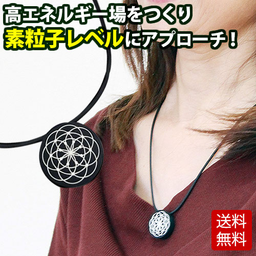 �֥�å����� ���������ͥå��쥹