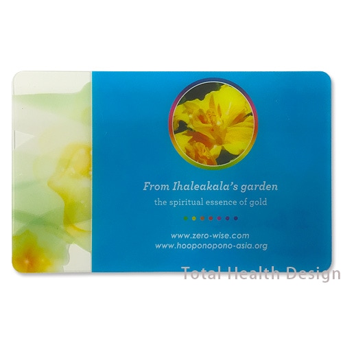 �ۡ����ݥΥݥΡ�Ceeport���֥륤�������ϥ��ӥ�����������