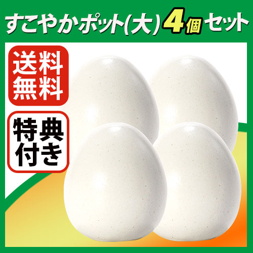 䤫 ݥå()ĥåȡŵդ