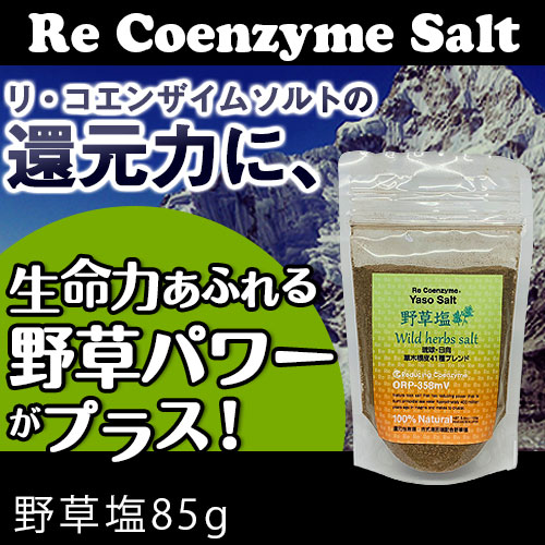 リ・コエンザイム 野草塩 85g｜トータルヘルスデザイン公式ショップWEB本店