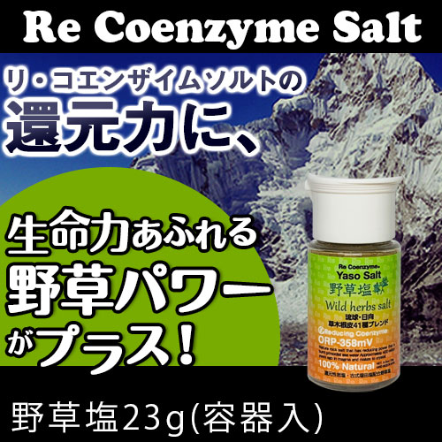 �ꡦ�����󥶥��ࡡ�������23g�ʷ��ӥܥȥ������
