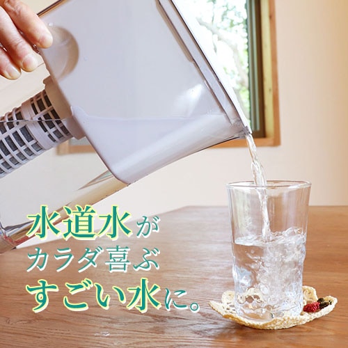 �ݥåȷ������� �ꥻ��ԥå��㡼�����Υ��å�