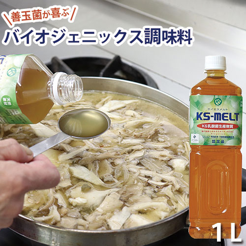 KS���� 1L