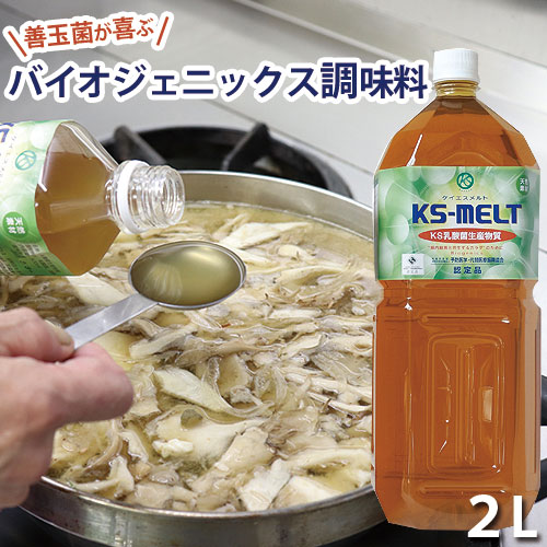 KS���� 2L