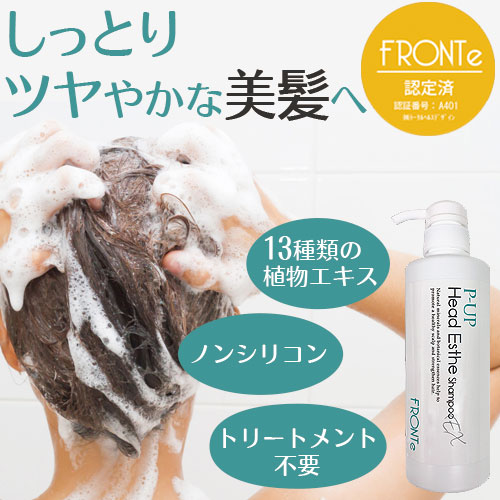 P-UP �إåɥ����ƥ����ס�EX 480ml