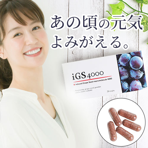 iGS4000 ���ץ����30���ץ����