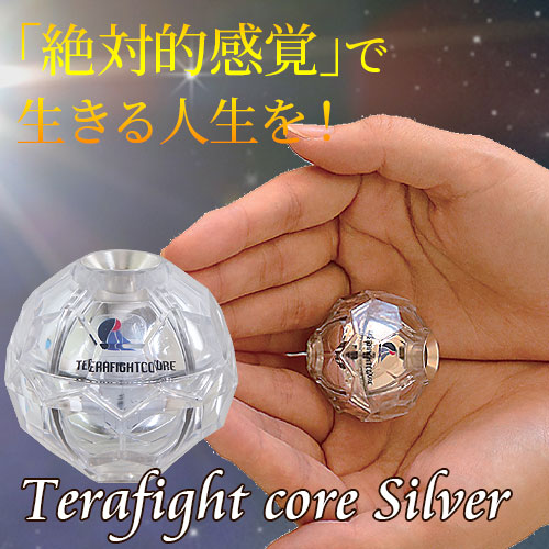 �ƥ�ե����ȥ��� ����С���ñ�ʡ�