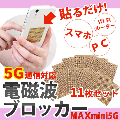 �ż��ȥ֥��å��� MAXmini 5G(�ޥå����ߥ� �ե����֥���)��11�祻�å�