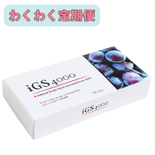 �ڤ勞�勞����ء�iGS4000 ���ץ����30���ץ����