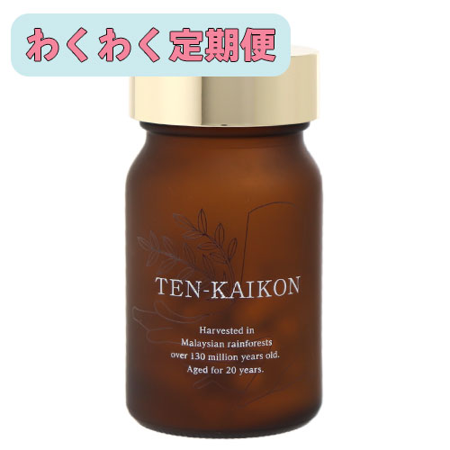 ڤ勞勞ءŷTEN-KAIKONˡ60γ